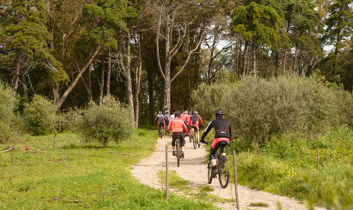 road bike tour lisbon